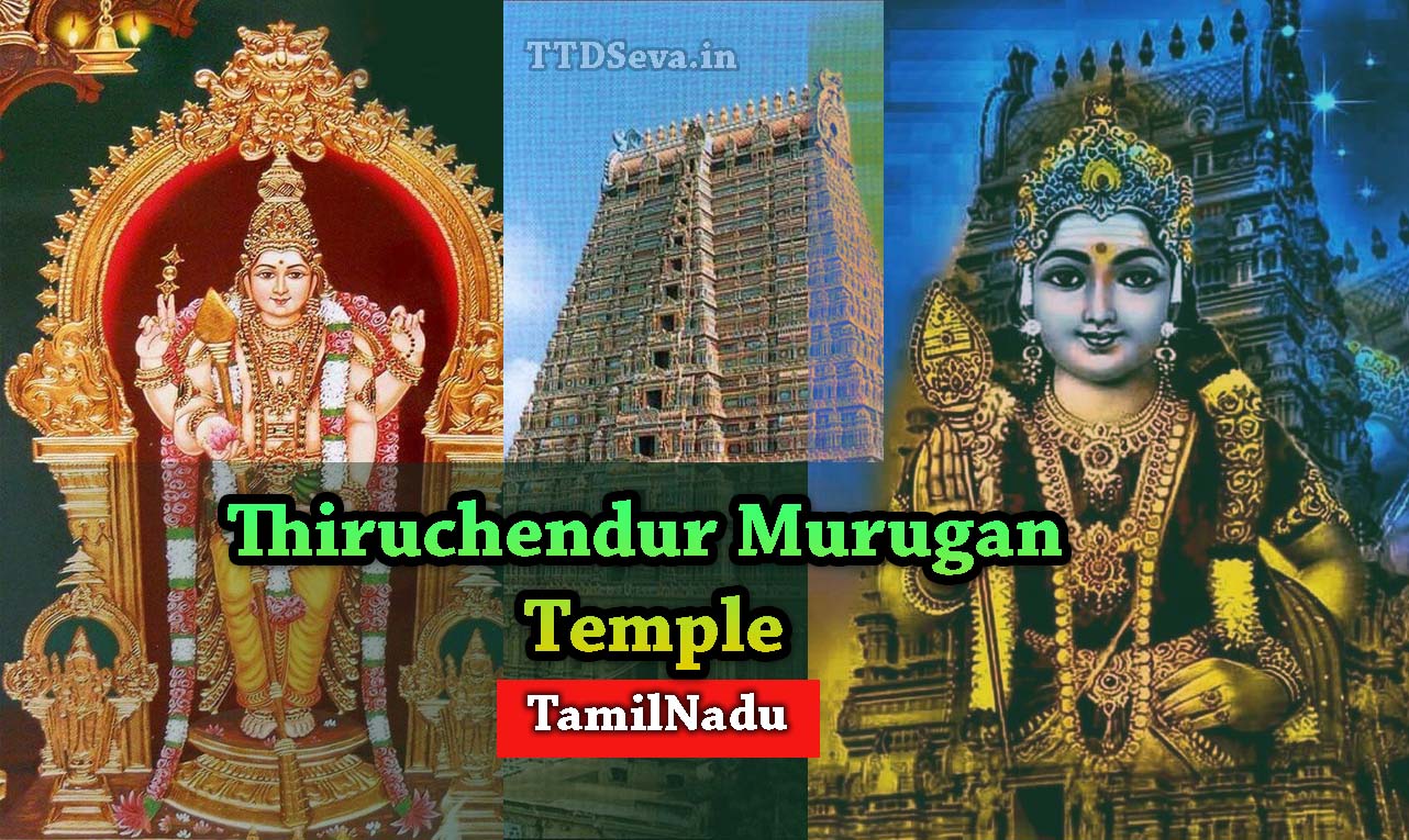Thiruchendur Murugan Temple Timings, History Info