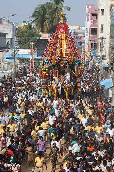 Sri Padmavathi Ammavari Rathotsavam